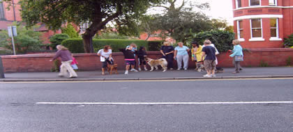 Fast Track Dog Training - class