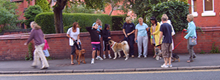 fast track dog class at the side of a road
