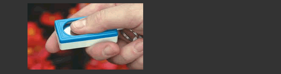 Dog training clicker in hand