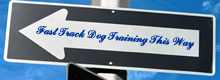 signpost showing fast track dog training direction